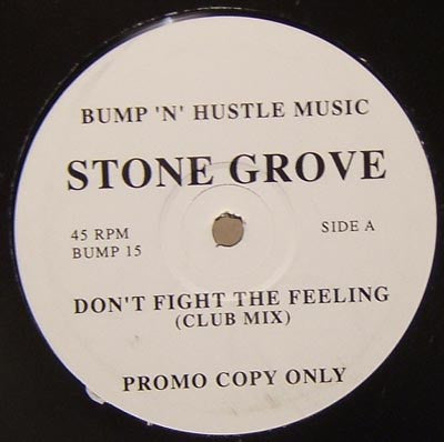 Stone Grove : Don't Fight The Feeling (12", Promo)