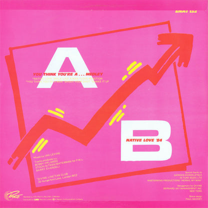 Divine : You Think You're A... Medley (12")