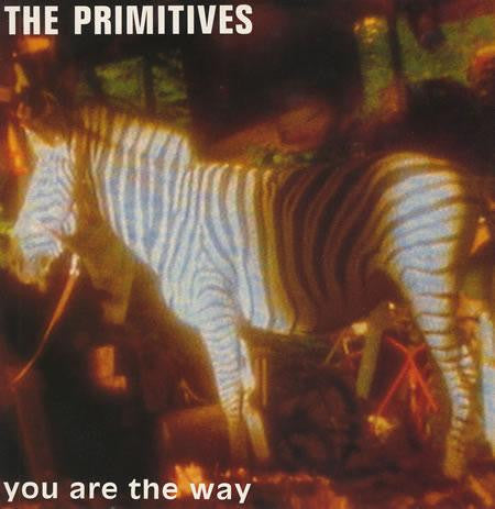 The Primitives : You Are The Way (12", Single)