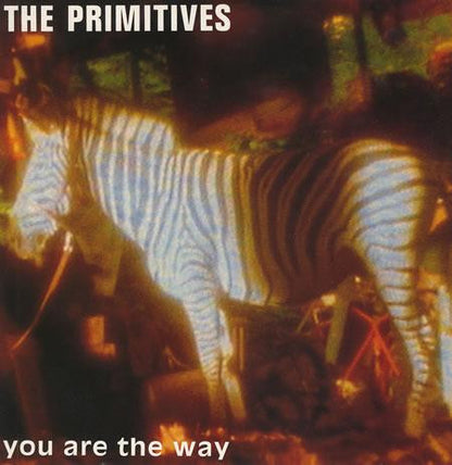 The Primitives : You Are The Way (12", Single)
