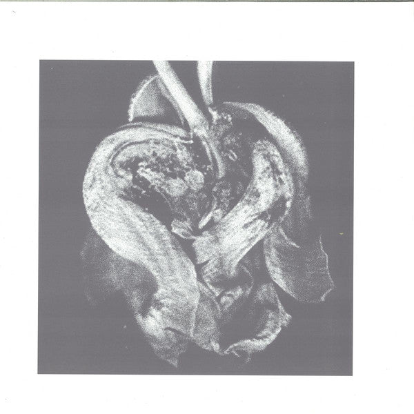 D-Ribeiro : Purple Ghost Dance EP (12", EP)