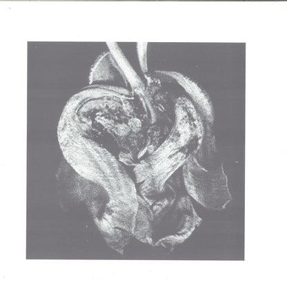 D-Ribeiro : Purple Ghost Dance EP (12", EP)