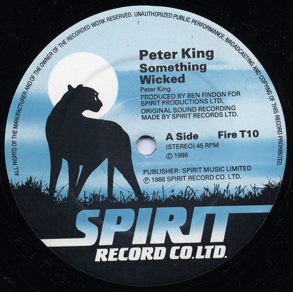 Peter King (28) : Something Wicked (12", Single)