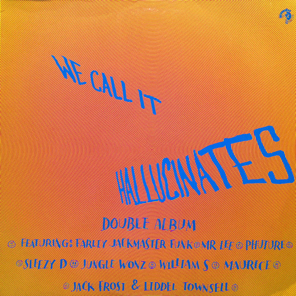 Various : We Call It Hallucinates (2xLP, Comp)