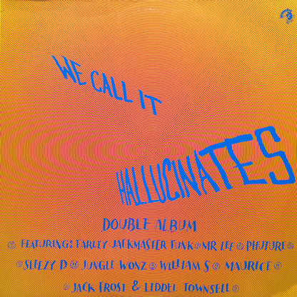 Various : We Call It Hallucinates (2xLP, Comp)