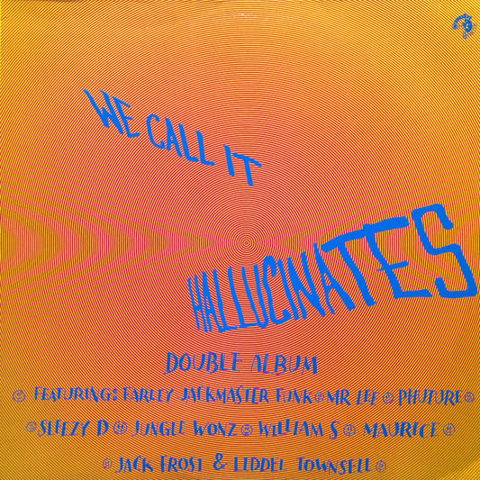 Various : We Call It Hallucinates (2xLP, Comp)