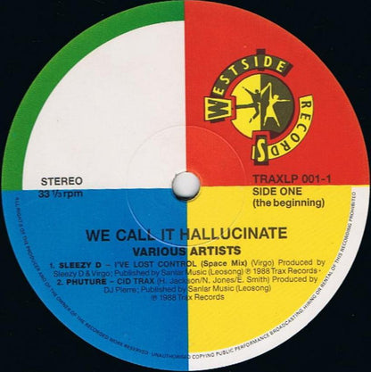 Various : We Call It Hallucinates (2xLP, Comp)