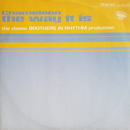 Chameleon (2) : The Way It Is (12")