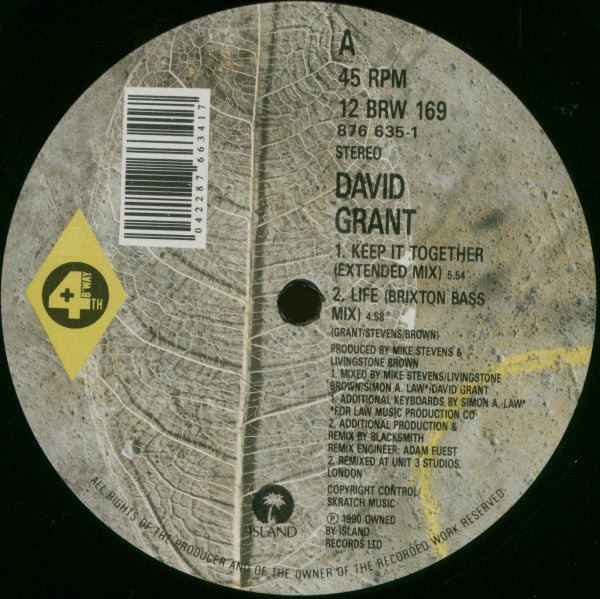 David Grant : Keep It Together (12")