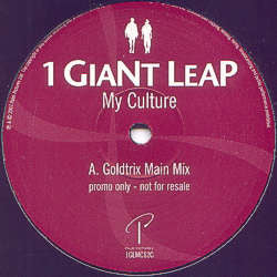 1 Giant Leap : My Culture (12", Promo)