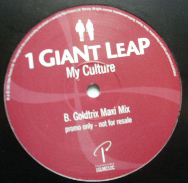 1 Giant Leap : My Culture (12", Promo)