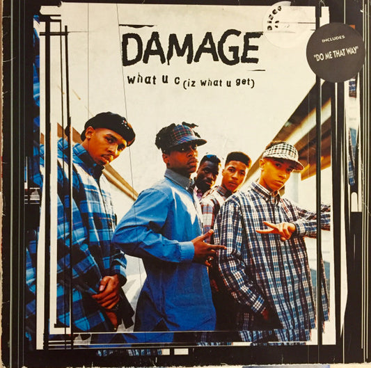 Damage : What U C (Iz What U Get) (12")