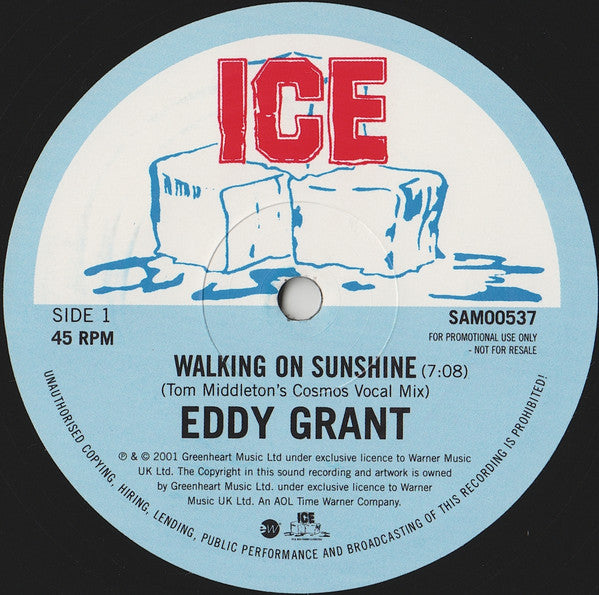 Eddy Grant : Walking On Sunshine (12", Promo)