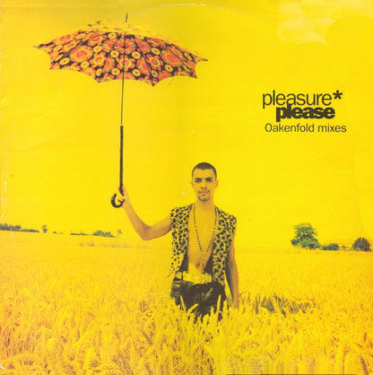 Pleasure (2) : Please (Oakenfold Mixes) (12")