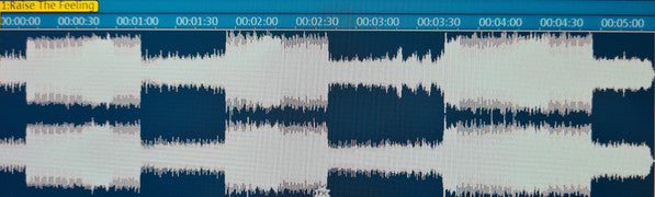 Shades Of Rhythm : Wandering Dragon Pt III The Return (12")