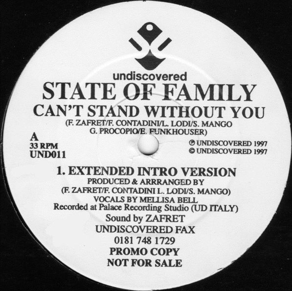 State Of Family : Can't Stand Without You (2x12", Promo)