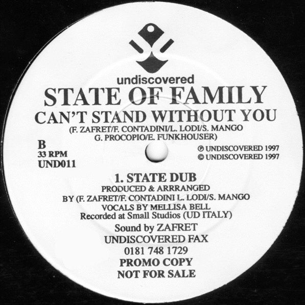 State Of Family : Can't Stand Without You (2x12", Promo)