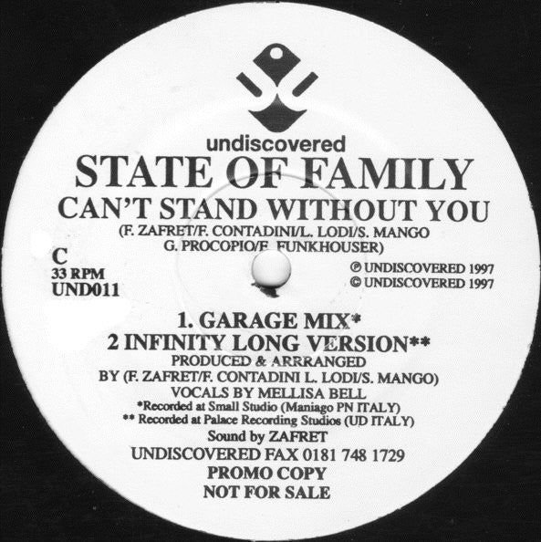 State Of Family : Can't Stand Without You (2x12", Promo)