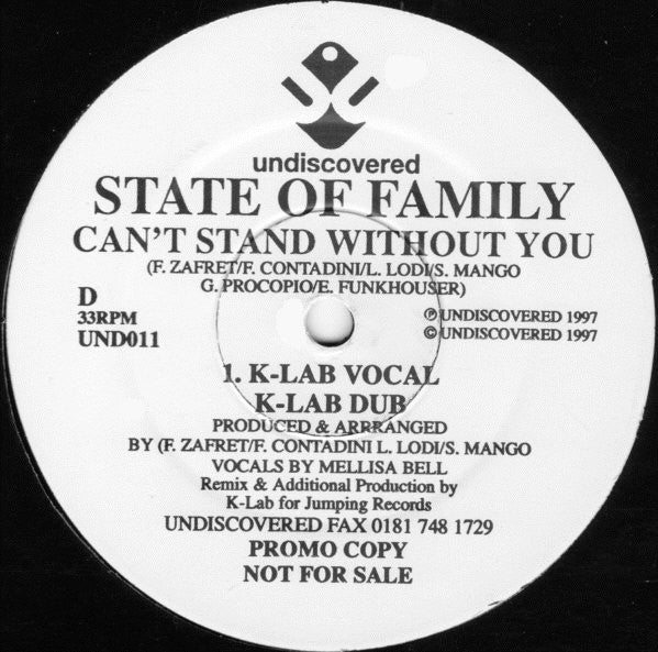 State Of Family : Can't Stand Without You (2x12", Promo)