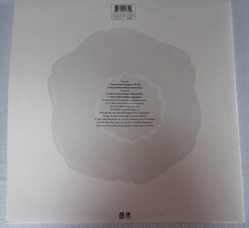 Rodeo Jones : Natural World (Kevin Saunderson Remixes) (12", Gat)