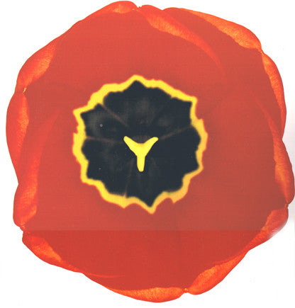 Rodeo Jones : Natural World (Kevin Saunderson Remixes) (12", Gat)