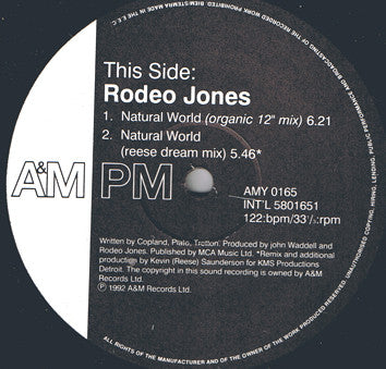 Rodeo Jones : Natural World (Kevin Saunderson Remixes) (12", Gat)