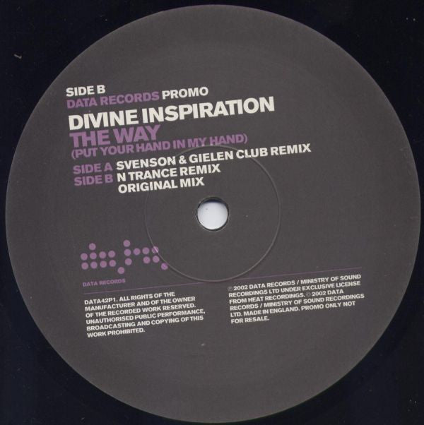 Divine Inspiration : The Way (Put Your Hand In My Hand) (12", Promo, 1/3)
