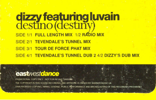 Dizzy (2) Featuring Luvain Maximen : Destino (Destiny) (2x12", Promo)
