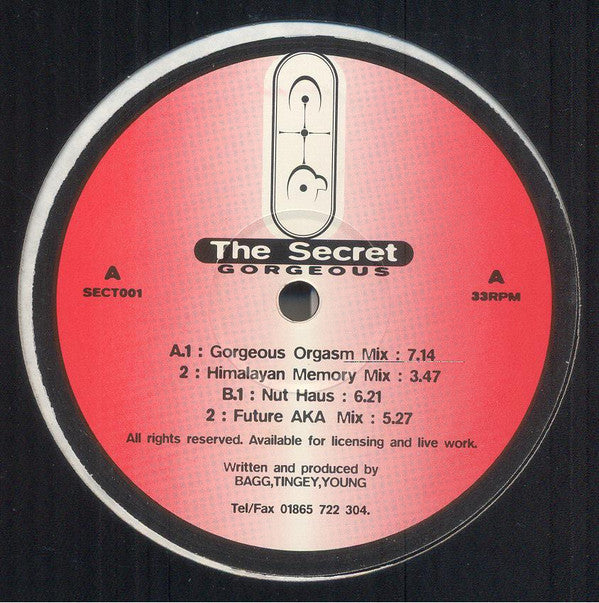 The Secret : Gorgeous (12")