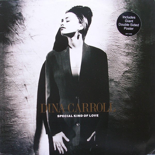 Dina Carroll : Special Kind Of Love (12", Single)