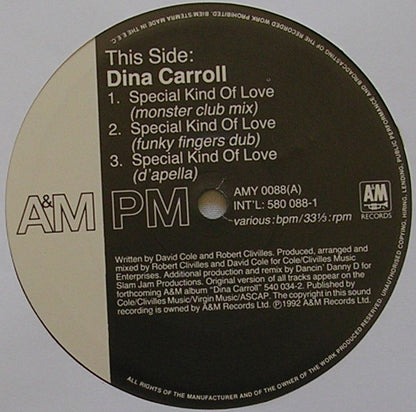 Dina Carroll : Special Kind Of Love (12", Single)