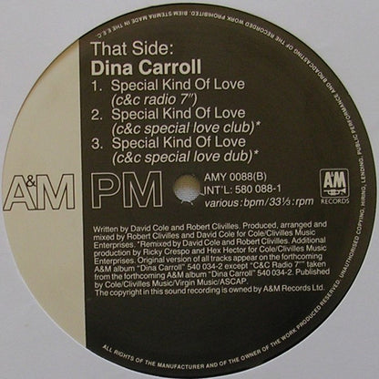 Dina Carroll : Special Kind Of Love (12", Single)
