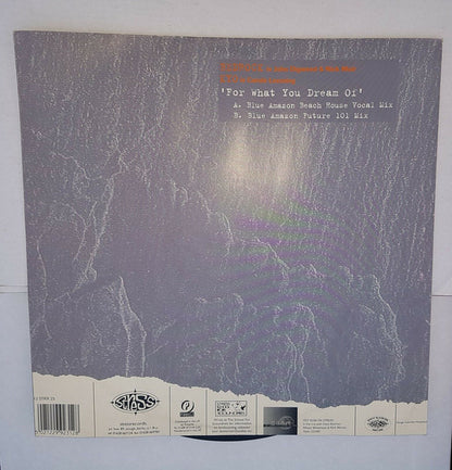 John Digweed & Nick Muir Presents Bedrock Featuring KYO : For What You Dream Of (Blue Amazon Remixes) (12")