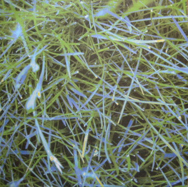 Orbital : Lush 3 (12", Single)