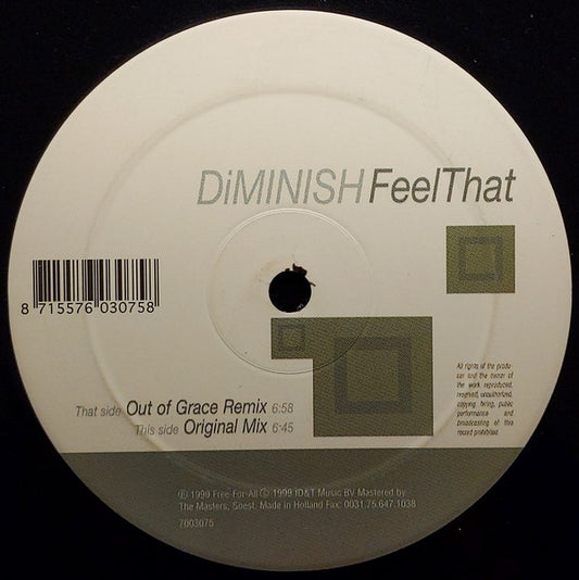 Diminish : Feel That (12")