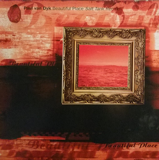 Paul van Dyk : Beautiful Place (Salt Tank Remix) (12")