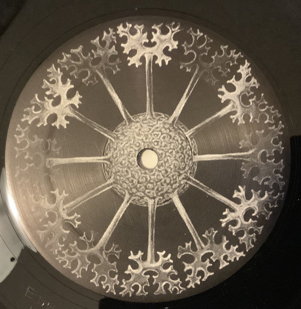 Dada Munchamonkey : The Operator (12")