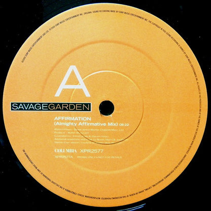 Savage Garden : The Affirmation Mixes (12", Single, Promo)