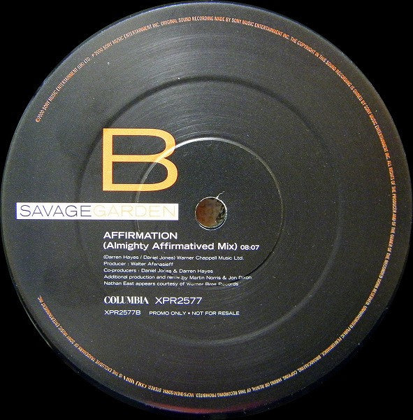 Savage Garden : The Affirmation Mixes (12", Single, Promo)