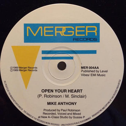 Mike Anthony (2) : Judy, You Are (12")