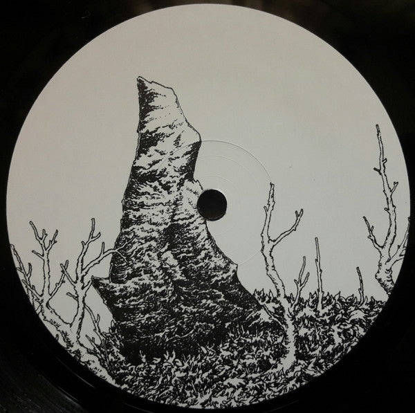 Jacek Sienkiewicz : Hideland (2x12", Album)