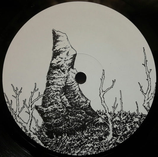 Jacek Sienkiewicz : Hideland (2x12", Album)