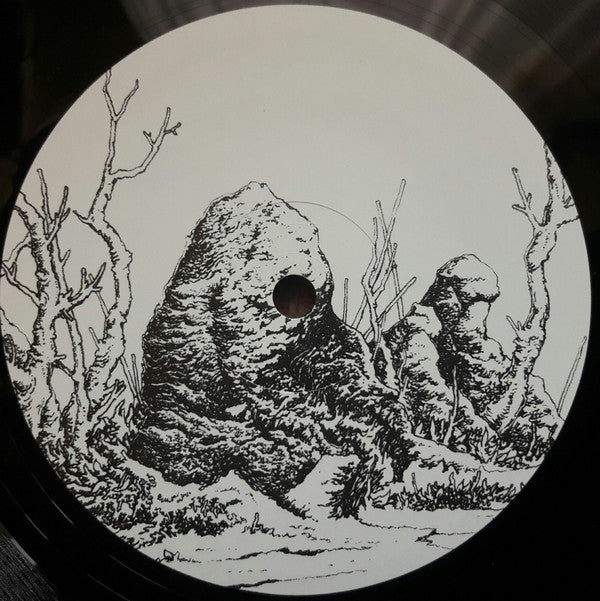 Jacek Sienkiewicz : Hideland (2x12", Album)