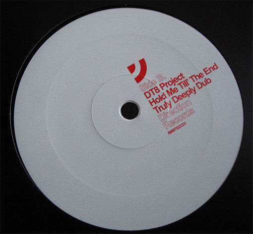 DT8 Project : Hold Me Till The End (12")