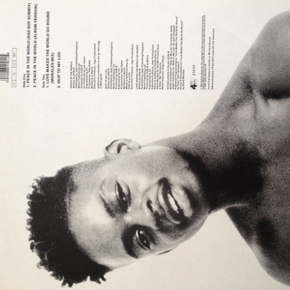 DON-E : Peace In The World (12", Single)