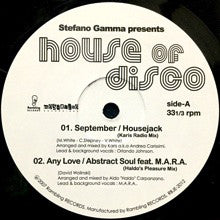Stefano Gamma : House of Disco (12", Single)