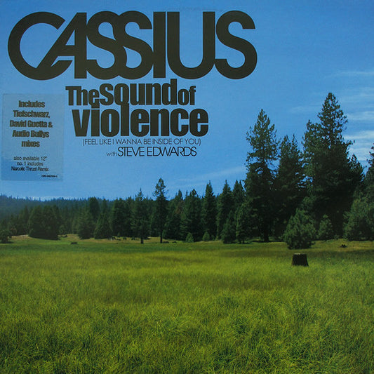 Cassius With Steve Edwards : The Sound Of Violence (Feel Like I Wanna Be Inside Of You) (12")