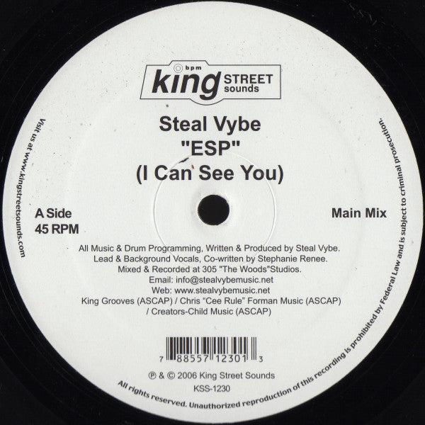 Steal Vybe : ESP (12")