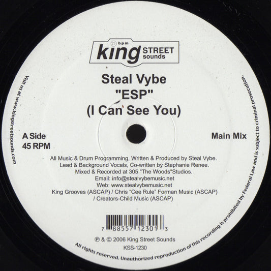 Steal Vybe : ESP (12")