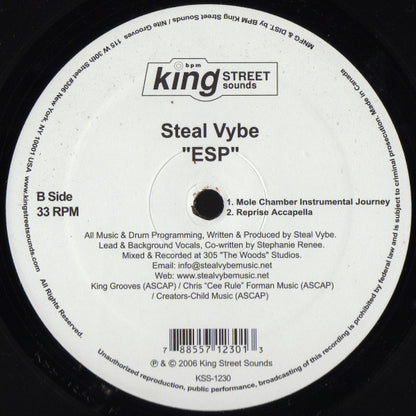 Steal Vybe : ESP (12")